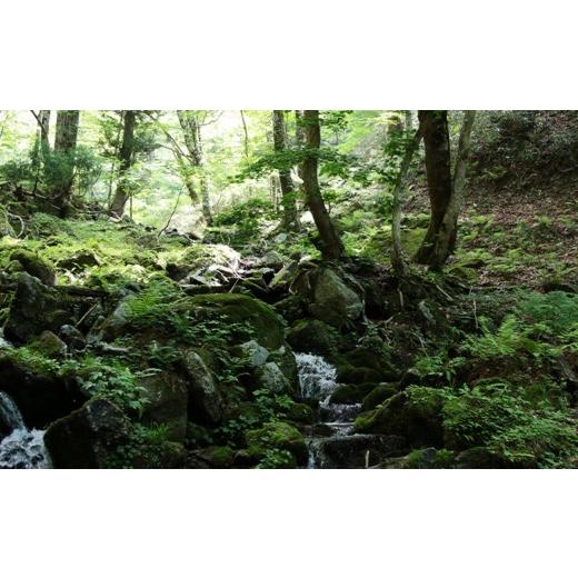 ふるさと納税 米 コシヒカリ 岡山県 西粟倉村  令和8年産新米・先行予約 3回定期便 あわくら源流米 コシヒカリ 白米 10kg｜西粟倉村産・昼夜寒暖差が育む甘み…の画像