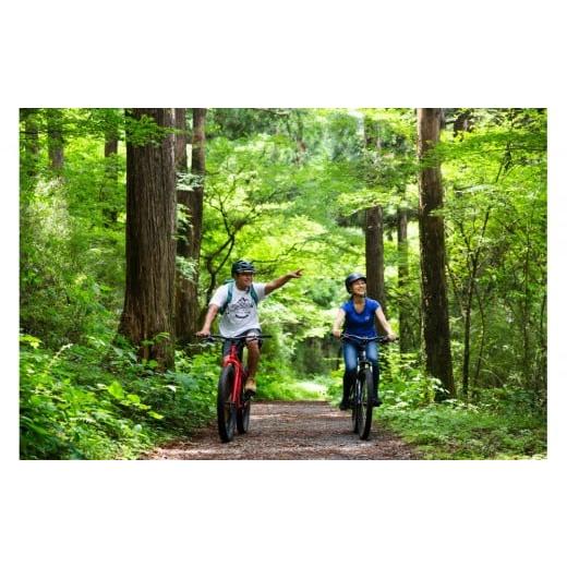 ふるさと納税 体験チケット 神奈川県 箱根町 マウンテンバイククルージングツアー 「ディープフォレストクルージングコース」(大人1名様チケット)