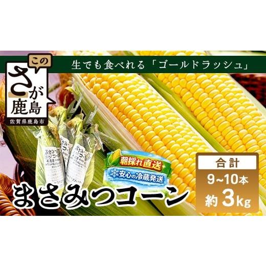 ふるさと納税 とうもろこし 佐賀県 鹿島市 予約受付 スイートコーン (ゴールドラッシュ)9~10本 | 朝採れ 冷蔵発送 とうもろこし トウモロコシ コーン 野菜 …