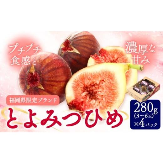 ふるさと納税 いちじく 福岡県 鞍手町 いちじく 無花果 とよみつひめ 280g×4パック [8月中旬-10月中旬頃出荷]福岡県 鞍手町 福岡県産 いちじく フルーツ 果…