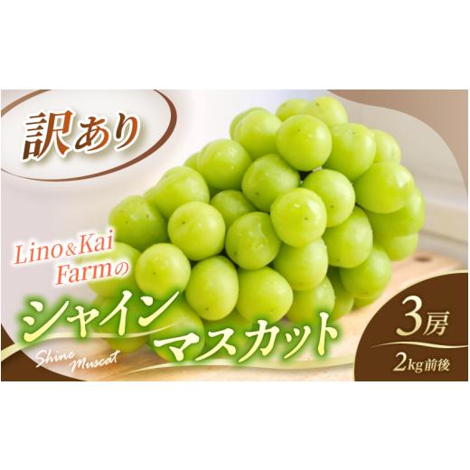 ふるさと納税 ぶどう マスカット 岡山県 真庭市 2026年先行予約 訳あり Lino&Kai Farmのシャインマスカット 3房前後(2kg前後)化粧箱入 ぶどう 岡山 真庭市 …