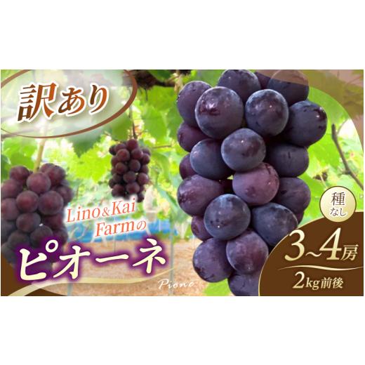ふるさと納税 果物類 ぶどう 岡山県 真庭市 2026年先行予約 訳あり 岡山の ニューピオーネ 3房〜4房 (2kg前後 化粧箱入) Lino&Kai Farm ぶどう 岡山 真庭市 …