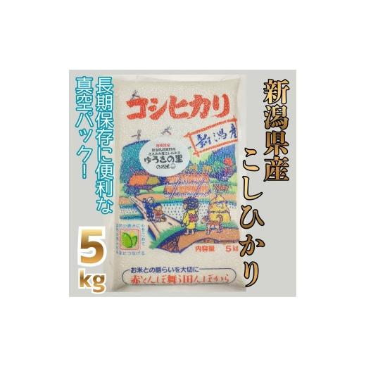 ふるさと納税 米 コシヒカリ 新潟県 阿賀野市 令和8年産新米予約 阿賀野市 ささかみ産 こしひかり 「ゆうきの里のお米」真空パック 5kg 新潟コンバイン 白米 …