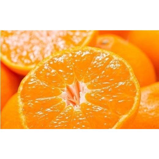 ふるさと納税 果物類 みかん 和歌山県 古座川町 予約受付 ブランド有田みかん 秀品約2.8kg/サイズお任せ 2026年10月中旬〜2027年1月中旬頃に順次発送予定…