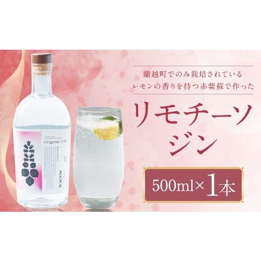 ふるさと納税 洋酒・リキュール類 北海道 蘭越町 リモチーソジン 500mL