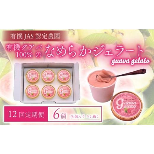 ふるさと納税 アイス・ヨーグルト ジェラート 高知県 南国市 12回定期便 有機グアバ農園のなめらかジェラート 6個 | 定期便 デザート スイーツ セット お菓子…