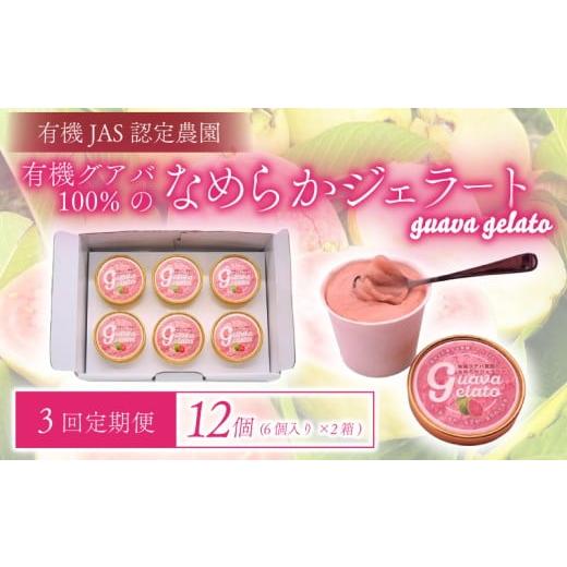 ふるさと納税 菓子 詰合せ 高知県 南国市 3回定期便 有機グアバ農園のなめらかジェラート 計12個 | 定期便 デザート スイーツ セット お菓子 夏 詰め合わせ …