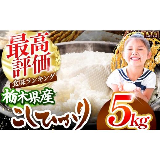 ふるさと納税 米 コシヒカリ 栃木県 矢板市 栃木県産コシヒカリ白米 5kg 栃木県共通返礼品 5kg | 10,000円
