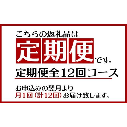 ふるさと納税 麦酒 地ビール 沖縄県 東村  定期便：12回 オリオンビール オリオン ザ・プレミアム 350ml×24本 沖縄 orion 割り増し金 人並み外れた beer 麦酒 青…