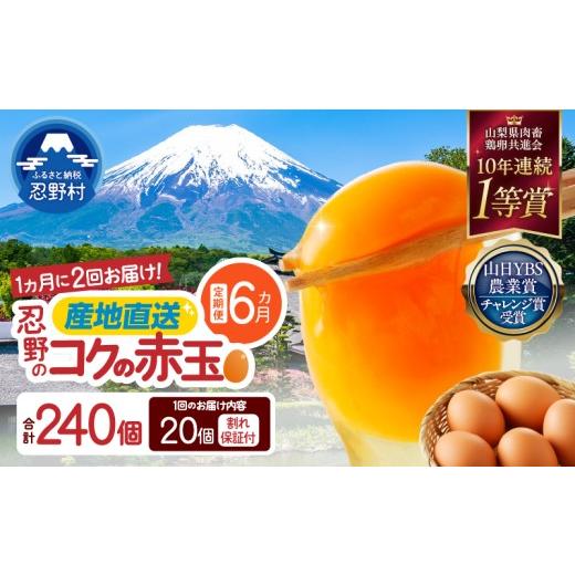ふるさと納税 卵(鶏、烏骨鶏等) 山梨県 忍野村 ＼チョイス限定/ 月2回発送・6ヶ月定期便 富士山の麓で育った産地直送 "忍野の卵" (20個×12回) 割れ保…