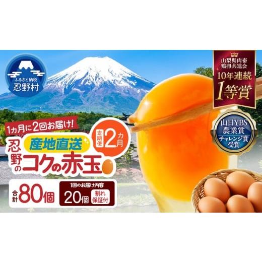 ふるさと納税 卵(鶏、烏骨鶏等) 山梨県 忍野村 ＼チョイス限定/ 月2回発送・2ヶ月定期便 富士山の麓で育った産地直送 "忍野の卵" 卵15個+割れ保証5個 計…