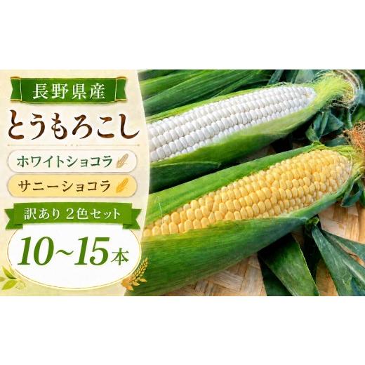 ふるさと納税 とうもろこし 長野県 飯田市 訳あり とうもろこし ホワイトショコラ サニーショコラ 2色セット 10-15本 約5kg | 農家直送 トウモロコシ 甘い 野…