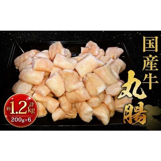 ふるさと納税 牛肉 ホルモン 福岡県 北九州市 国産牛丸腸 約1.2kg(市立食肉センター直送) 牛丸腸 丸腸 牛マルチョウ マルチョウ 牛肉 肉 ホルモン 牛ホルモ…