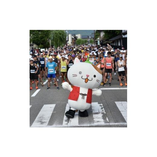 ふるさと納税 体験チケット 新潟県 関川村 2026年6月21日開催 関川マラソン 大会エントリー権 マラソン スポーツイベント 12km 1713419