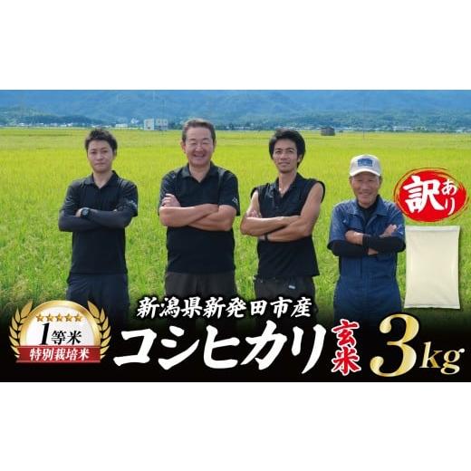 ふるさと納税 米 コシヒカリ 新潟県 新発田市 訳あり 令和7年産 コシヒカリ 3kg 1等米 特別栽培米 玄米 こしひかり 米 お米 こめ 新潟米 新潟県産 新潟産 新…