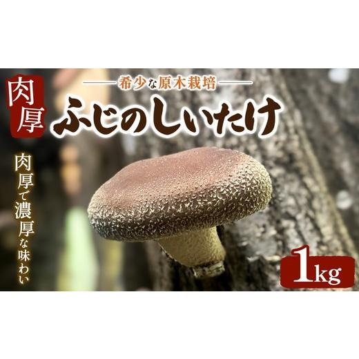 ふるさと納税 野菜類 きのこ 神奈川県 相模原市 希少な原木栽培 肉厚 ふじのしいたけ 1kg 2025年12月上旬〜2026年4月上旬頃までに順次発送予定
