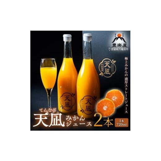 ふるさと納税 果汁飲料 みかん 愛媛県 八幡浜市 砂糖・保存料・甘味料すべて不使用 愛媛みかんジュース「天凪」 720ml 2本 D98-3 1711051