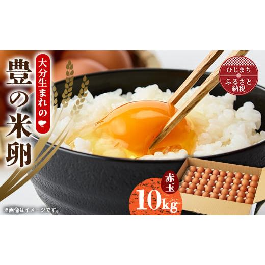 ふるさと納税 卵(鶏、烏骨鶏等) 大分県 日出町 大分生まれのAW飼い有精卵「豊の米卵」10kg(赤卵) 1714037