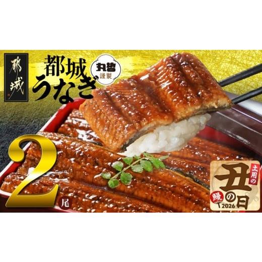 ふるさと納税 うなぎ 宮崎県 都城市 丑の日 宮崎県育ちのうなぎ蒲焼2尾300g以上 山椒・たれ付 7月20日〜25日お届け _13-M301-UG_(都城市) うなぎ蒲焼(有頭) …