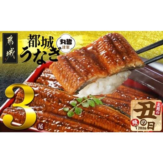 ふるさと納税 うなぎ 宮崎県 都城市 丑の日 宮崎県育ちのうなぎ蒲焼3尾500g以上 山椒・たれ付 7月20日〜25日お届け _AC-M301-UG_(都城市) うなぎ蒲焼(有頭) …