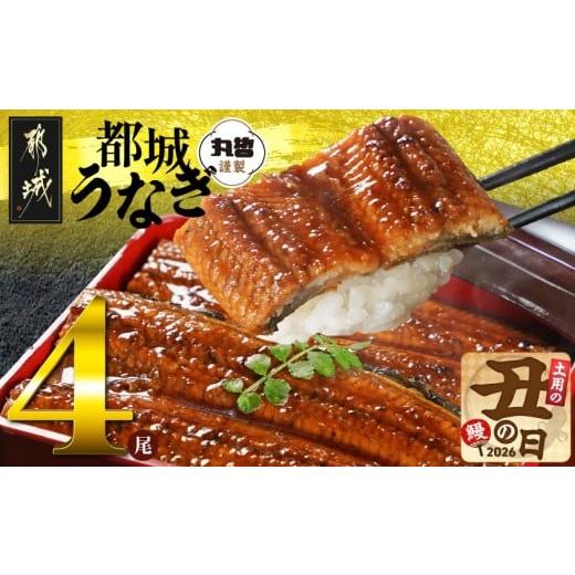 ふるさと納税 うなぎ 宮崎県 都城市 丑の日 宮崎県育ちのうなぎ蒲焼4尾720g以上 山椒・たれ付 7月20日〜25日お届け _AE-M301-UG_(都城市) うなぎ蒲焼(有頭) …