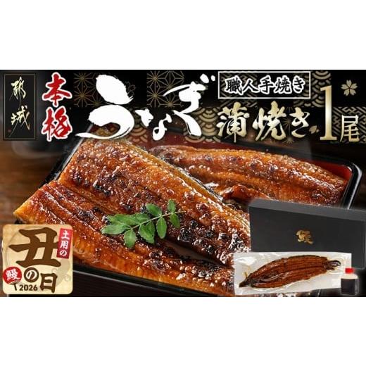 ふるさと納税 うなぎ 宮崎県 都城市 丑の日 職人手焼きの本格うなぎ蒲焼き1尾 7月20日〜25日お届け _LG8-33-003-1-UG_(都城市) 鰻蒲焼 1尾 (総重量150g以上) …