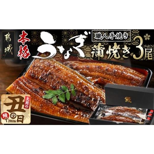 ふるさと納税 うなぎ 宮崎県 都城市 丑の日 職人手焼きの本格うなぎ蒲焼き3尾 7月20日〜25日お届け _AC-33-003-3-UG_(都城市) 鰻蒲焼 3尾 (総重量450g以上) …