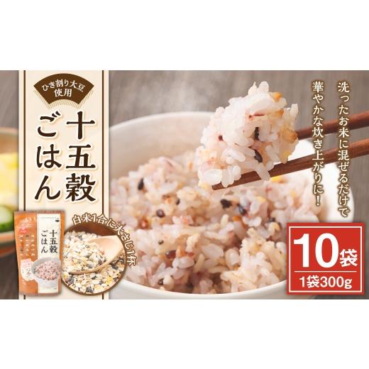 ふるさと納税 雑穀 山梨県 中央市 十五穀ごはん 300g×10袋 雑穀 雑穀米 コメ 米 国産 ご飯 ごはん 雑穀ごはん 十五穀ごはん 十五穀米 十五種類