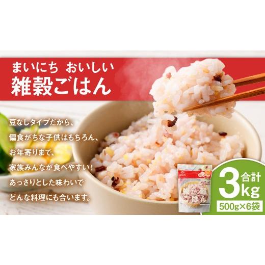 ふるさと納税 雑穀 山梨県 中央市 まいにちおいしい雑穀ごはん 500g×6袋 雑穀 雑穀米 コメ 米 国産 ご飯 ごはん 雑穀ごはん