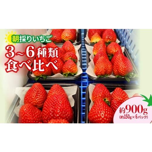 ふるさと納税 いちご 群馬県 前橋市 いちご 食べ比べ 150g×6パック 900g | コク 甘み 朝採れ イチゴ 苺 高品質 たっぷり 新鮮 完熟 旬 ストロベリー 高級 産…