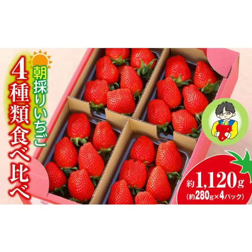 ふるさと納税 いちご 群馬県 前橋市 いちご 4種類食べ比べ 約280g×4パック 1120g | イチゴ 苺 高品質 たっぷり 新鮮 完熟 旬 ストロベリー 高級 産地直送 果…