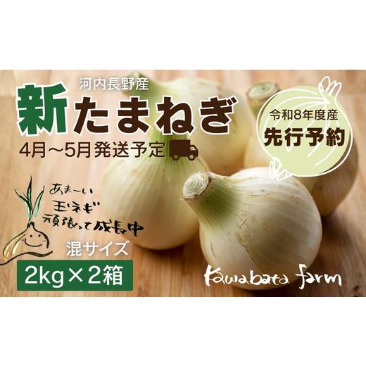 ふるさと納税 野菜類 玉ねぎ 大阪府 河内長野市 令和8年度産新玉ねぎ先行予約 新玉ねぎ 2kg×2箱 4月〜5月発送予定 混サイズ 玉ねぎ 新玉ねぎ たまねぎ タマ…