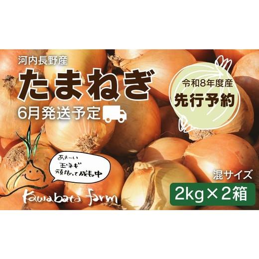 ふるさと納税 野菜類 玉ねぎ 大阪府 河内長野市 令和8年度産玉ねぎ先行予約 玉ねぎ 2kg×2箱 6月より発送予定 混サイズ 玉ねぎ たまねぎ タマネギ 玉葱 カレ…
