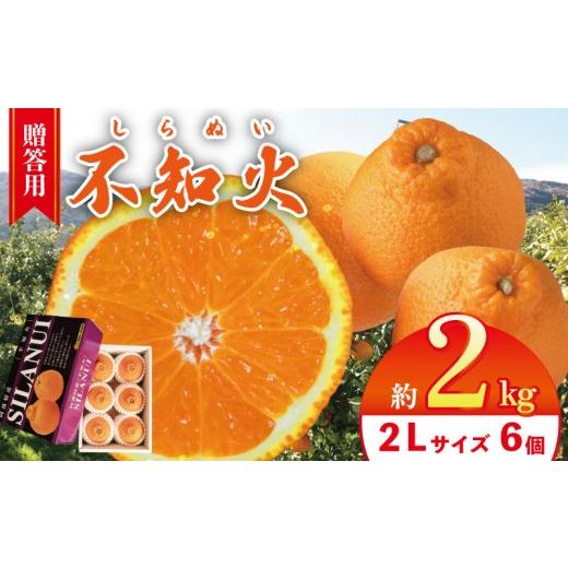 ふるさと納税 みかん・柑橘類 デコポン 徳島県 吉野川市 不知火 約2kg 2Lサイズ 6個 2026年3月発送予定 贈答用 しらぬい 柑橘 みかん オレンジ フルーツ 果物 …