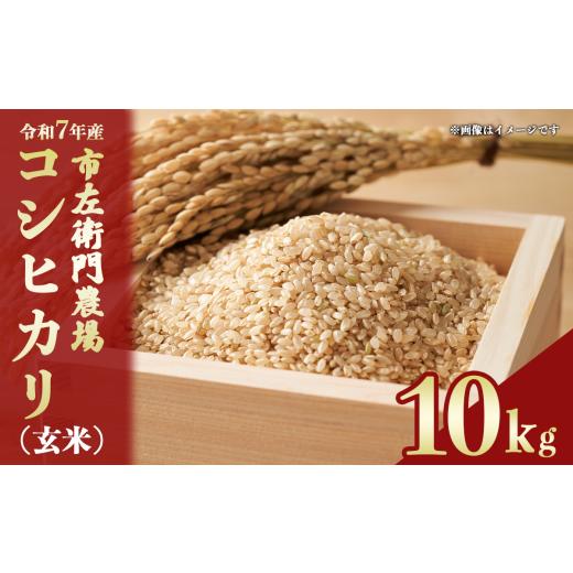 ふるさと納税 米 コシヒカリ 茨城県 つくば市 令和7年産 コシヒカリ 10kg 玄米 スピード発送 │ 米 こめ こしひかり ご飯 10キロ 2025年産 茨城県産 茨城県 つ…