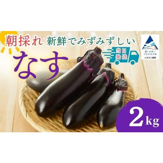 ふるさと納税 野菜類 茄子 石川県 小松市 なす 2kg (20個以上) なす ナス 茄子 野菜 | 石川県 小松市 JAあぐり 2kg(20個以上)