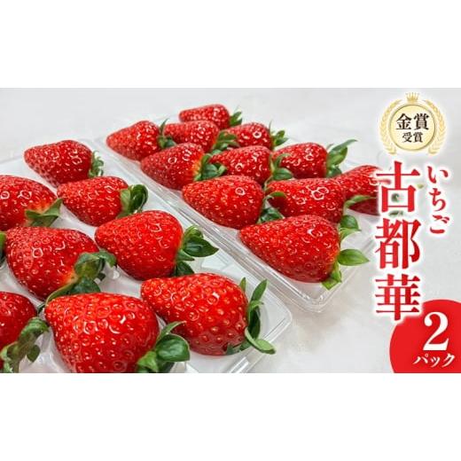 ふるさと納税 いちご 奈良県 大和郡山市 いちご 古都華 2パック 金賞受賞 フルーツ 果物 旬 産地直送 デザート ことか イチゴ 苺 冷蔵 奈良 大和郡山 北村…