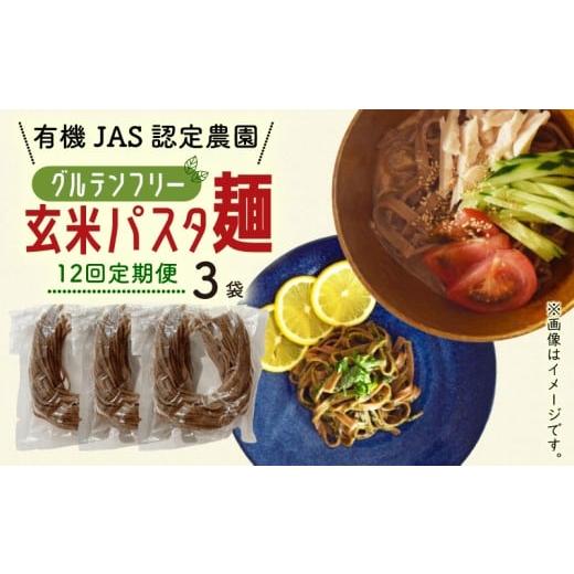ふるさと納税 パスタ 生・半生めん 高知県 南国市 12回定期便 有機グアバ農園のグルテンフリー玄米パスタ麺 100g×3袋セット | 定期便 グルテン フリー グル…