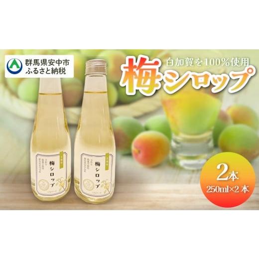 ふるさと納税 加工品等 群馬県 安中市 梅シロップ ANBN001 群馬県 安中市