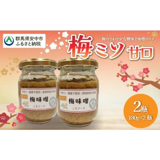 ふるさと納税 加工品等 群馬県 安中市 梅ミソ(甘口)ANBN002 群馬県 安中市