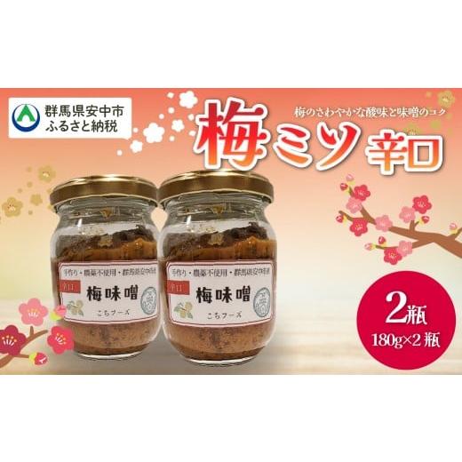 ふるさと納税 加工品等 群馬県 安中市 梅ミソ(辛口)ANBN003 群馬県 安中市