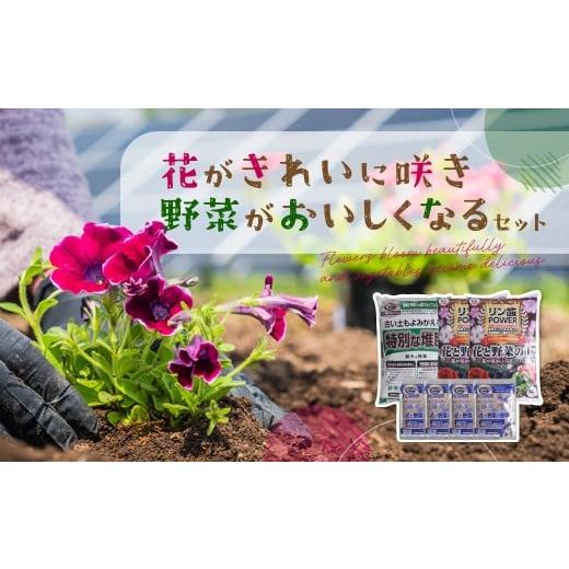 ふるさと納税 雑貨・日用品 群馬県 安中市 花がきれいに咲き、野菜がおいしくなるセット ANBO001 群馬県 安中市