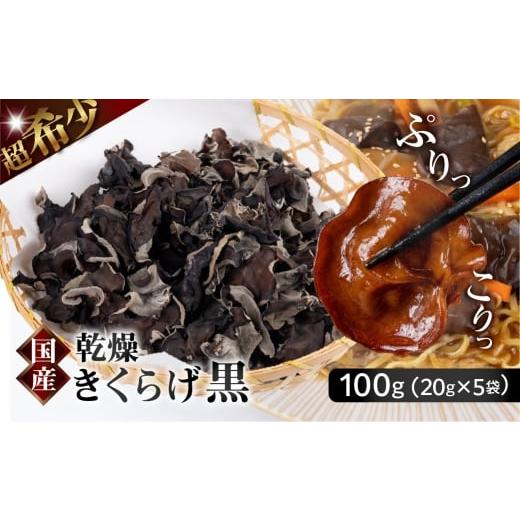ふるさと納税 野菜類 きのこ 岐阜県 大垣市 先行予約受付中 ＼ぷりっと、こりっと/超希少 乾燥きくらげ 黒 国産 100g 20g × 5袋 個包装 小分け きくらげ キ…