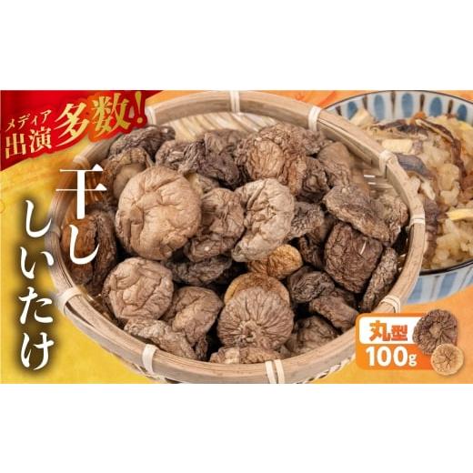 ふるさと納税 野菜類 きのこ 岐阜県 大垣市 ＼訳あり/ 国産 乾燥しいたけ 干し椎茸 100g 20g×5袋 選べる ダイス型 小分け 個包装 乾物 椎茸 きのこ 乾燥椎茸…