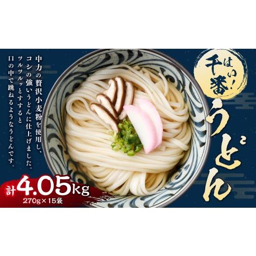 ふるさと納税 うどん 生・半生めん 山梨県 中央市 はい 千番うどん 270g×15袋 うどん 麺 麺類 和食 小麦粉 コシ