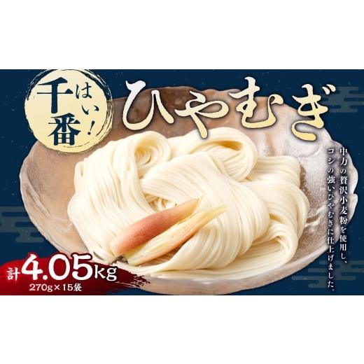 ふるさと納税 麺類 山梨県 中央市 はい 千番ひやむぎ 270g×15袋 ひやむぎ 冷麦 麺 麺類 和食