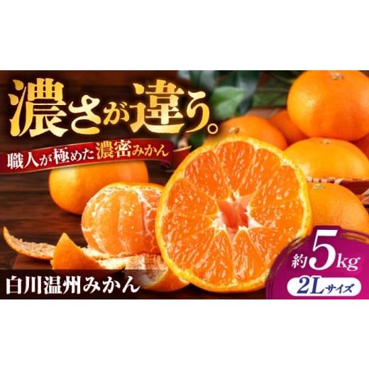 ふるさと納税 果物類 みかん 熊本県 山鹿市 先行予約 旨み凝縮 飛龍台木 白川 温州 みかん 2Lサイズ 約5kg 山鹿市産 小春農園
