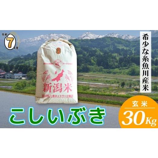 ふるさと納税 玄米 新潟県 糸魚川市 令和7年産 米 新潟県産 こしいぶき 玄米 30kg 2025年産 精米対応不可 木島米穀店 米 お米 玄米 米 こめ コメ こしいぶき …