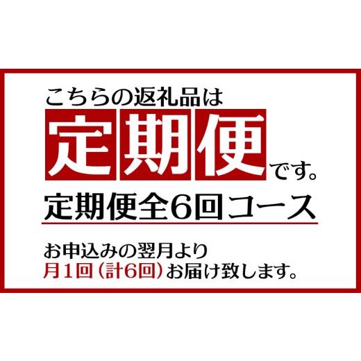 ふるさと納税 ビール 地ビール 沖縄県 東村  定期便：6回 オリオンビール オリオンサザンスター 350ml×24本 沖縄 オリオン orion 超絶 爽快 サザンスター ス…の画像
