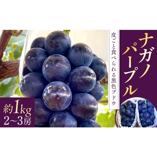 ふるさと納税 ぶどう 巨峰 長野県 立科町 ナガノパープル(約1kg、2〜3房)